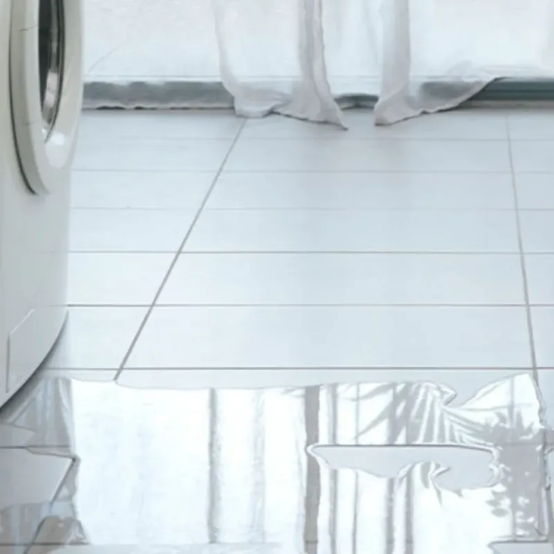 Appliance Leak Cleanup in Minneola, FL