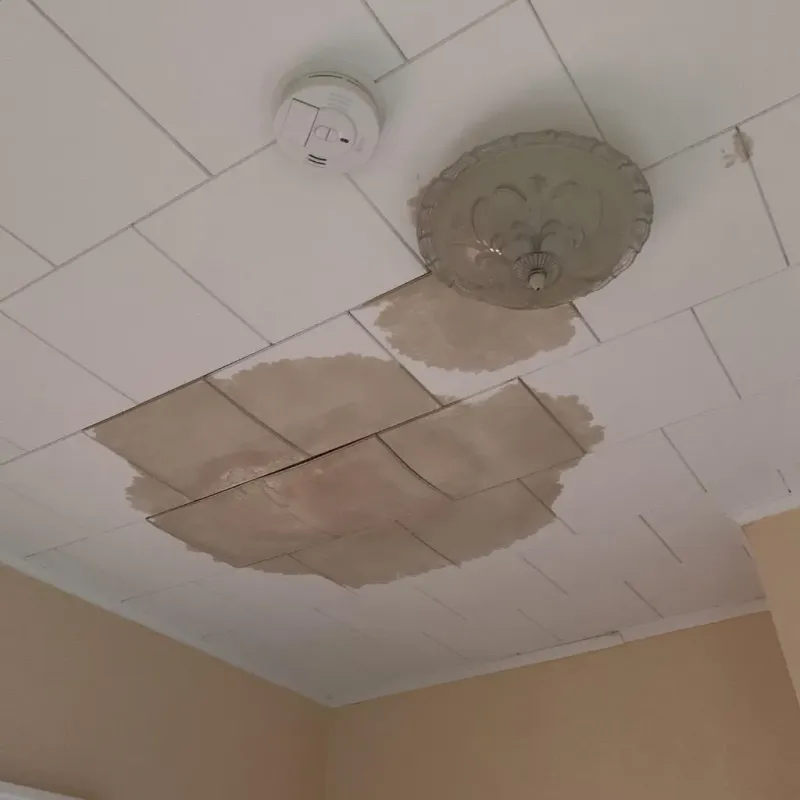 Ceiling Water Damage Repair in Minneola, FL
